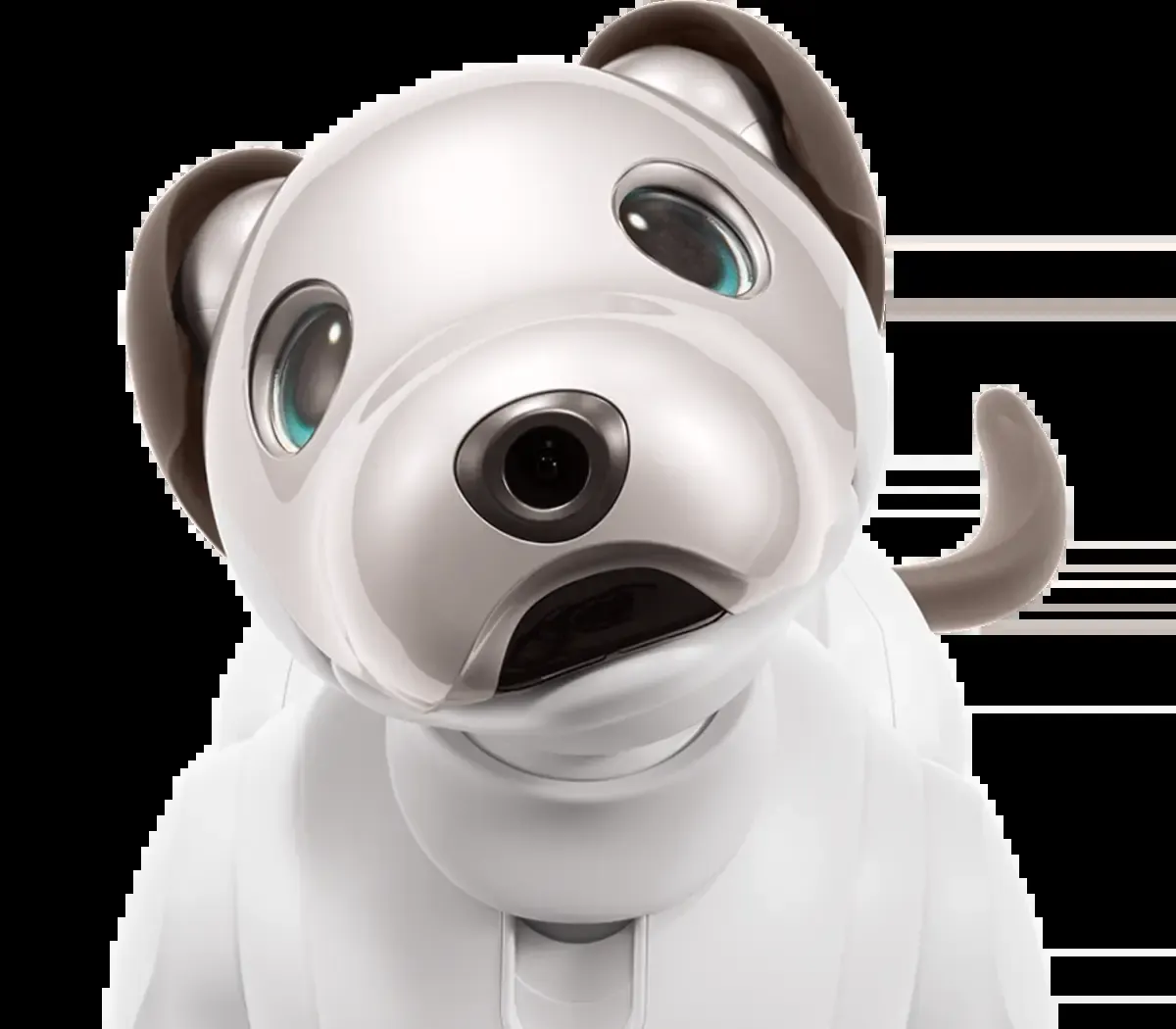 Sony aibo